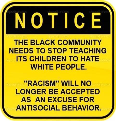 NOTICE THE BLACK COMMUNITY NEEDS TO STOP TEACHING ITS CHILDREN TO HATE WHITE PEOPLE. 