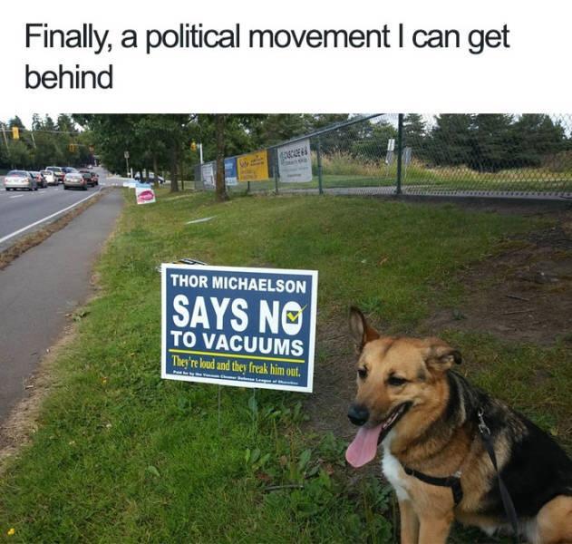 Finally a political movement can get behind