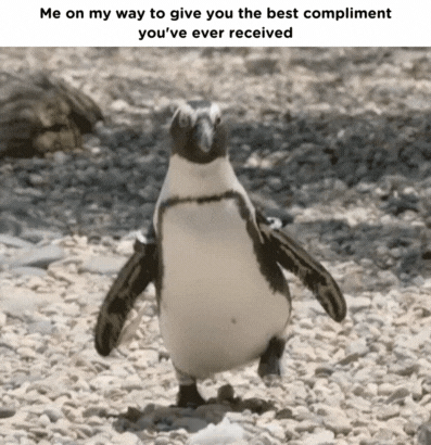 Me on my way to give you the best compliment youve ever received W TRy T