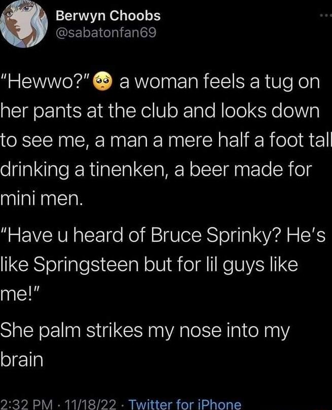 Berwyn Choobs GEELEICINED Hewwo a woman feels a tug on her pants at the club and looks down to see me a man a mere half a foot tal drinking a tinenken a beer made for mini men Have u heard of Bruce Sprinky Hes like Springsteen but for lil guys like me She palm strikes my nose into my brain 232 PM 111822 Twitter for iPhone