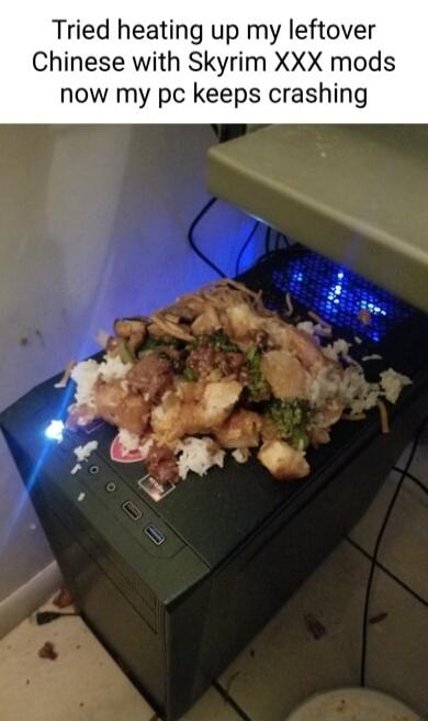 Tried heating up my leftover Chinese with Skyrim XXX mods now my pc keeps crashing