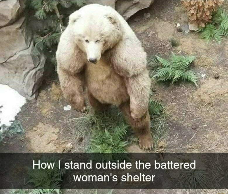 How stand outside the battered womans shelter RRFTUERAYY N TR d T T e YRR PN TR SR