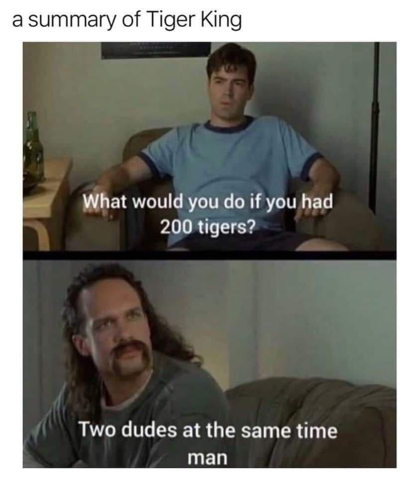 a summary of Tiger King What would you do if you had 200 tigers Two dudes at the same time man