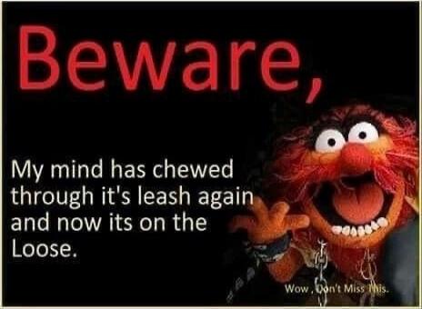 Beware, My mind has chewed through it's leash again and now its on the Loose.