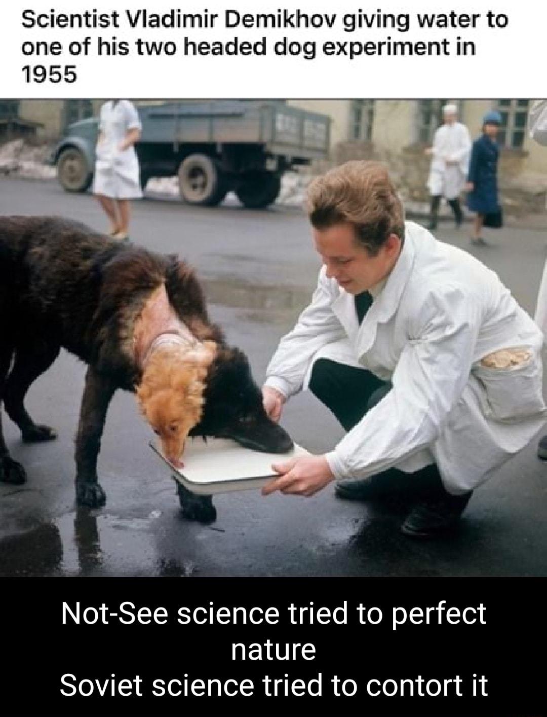 Scientist Vladimir Demikhov giving water to one of his two headed dog experiment in 1955 S nll Fai Not See science tried to perfect nature Soviet science tried to contort it