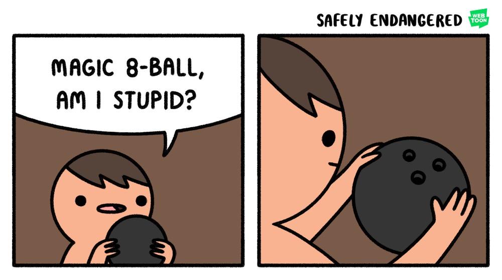 SAFELY ENDANGERED MAGIC 8 BALL AM STUPID