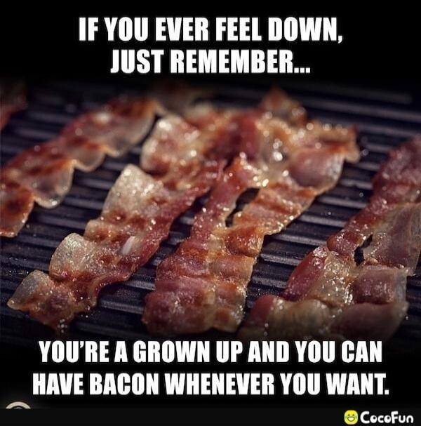 IF YOU EVER FEEL DOWN, JUST REMEMBER... YOU'RE A GROWN UP AND YOU CAN HAVE BACON WHENEVER YOU WANT.
