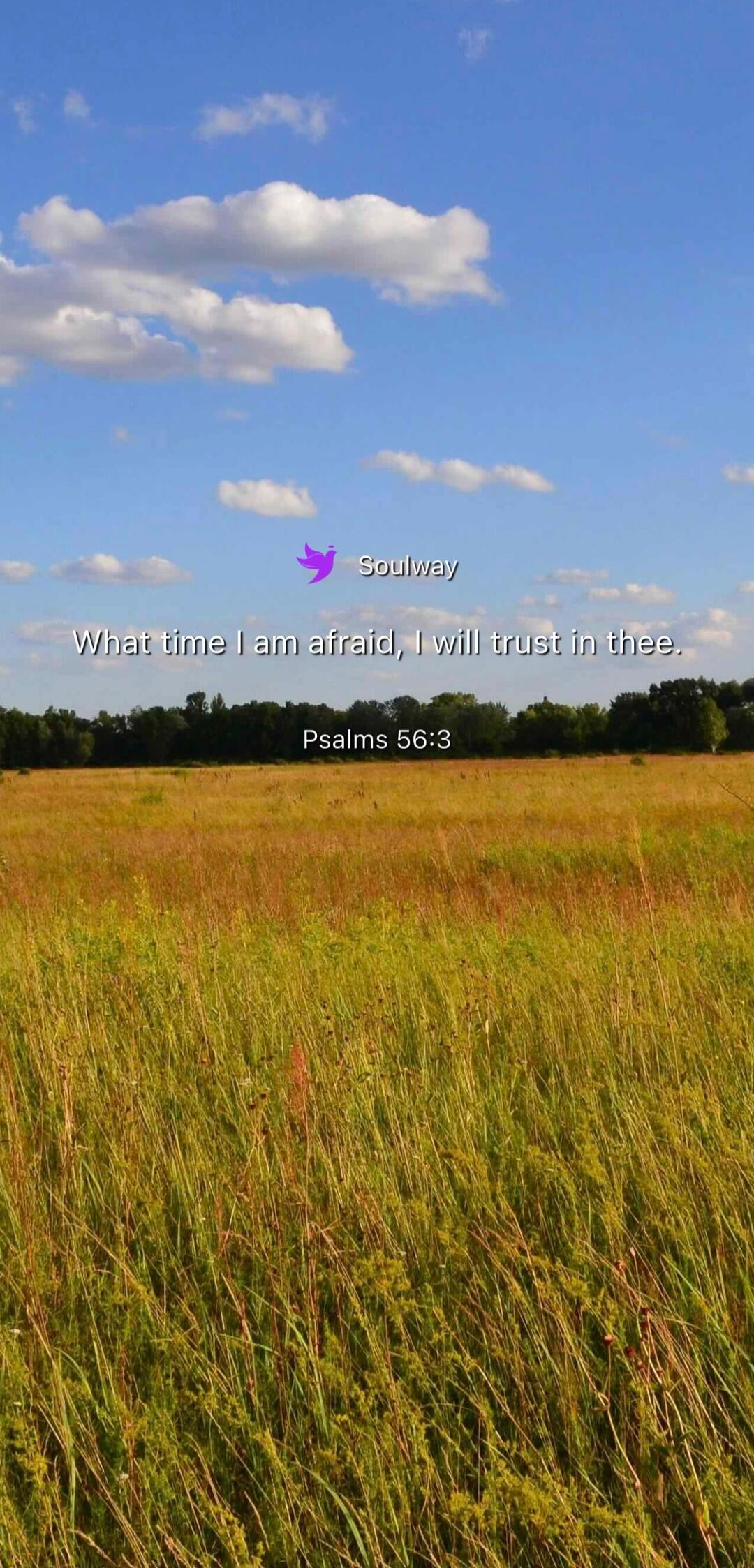 Soulway What time I am afraid, I will trust in thee. Psalms 56:3
