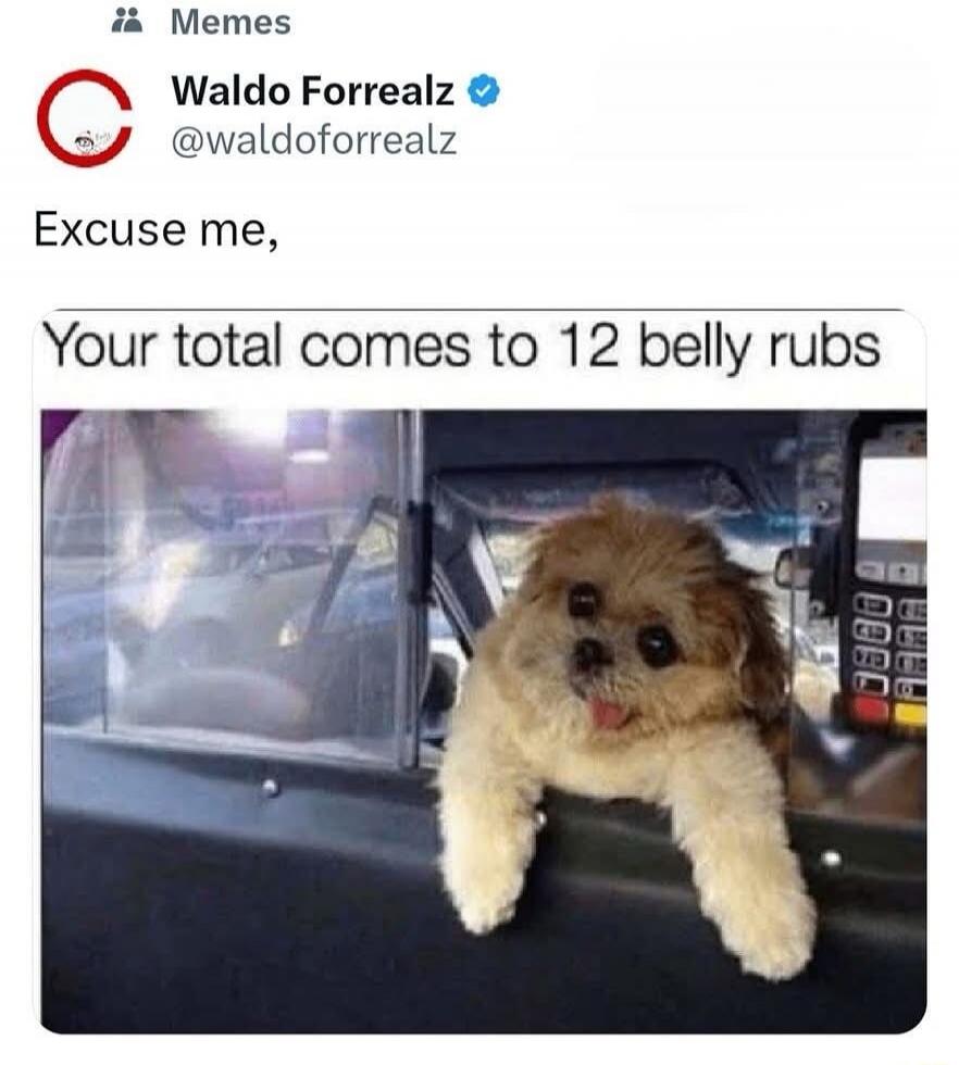 Memes Waldo Forrealz @waldoforrealz Excuse me, Your total comes to 12 belly rubs