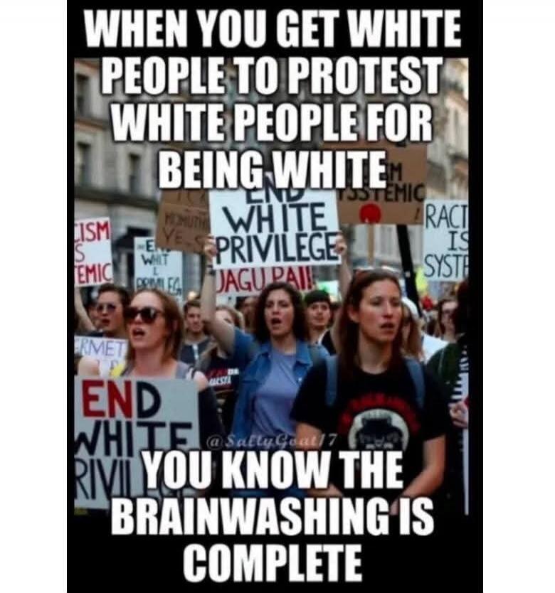 WHEN YOU GET WHITE PEOPLE TO PROTEST WHITE PEOPLE FOR BEING WHITE YOU KNOW THE BRAINWASHING IS COMPLETE. Signs visible say: 'END WHITE PRIVILEGE', 'RACISM IS SYSTEMIC', 'END SYSTEMIC RACISM'.