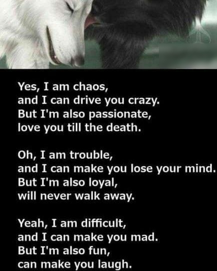 Yes I am chaos ELT D QT N IRVC TR VATA But Im also passionate R TTR R TN R Oh I am trouble EL T e W BRI TN RV T Ty T But Im also loyal will never walk away Yeah I am difficult ELT R NG ELCRYGITRET N But Im also fun L RNEUCRCUREN N