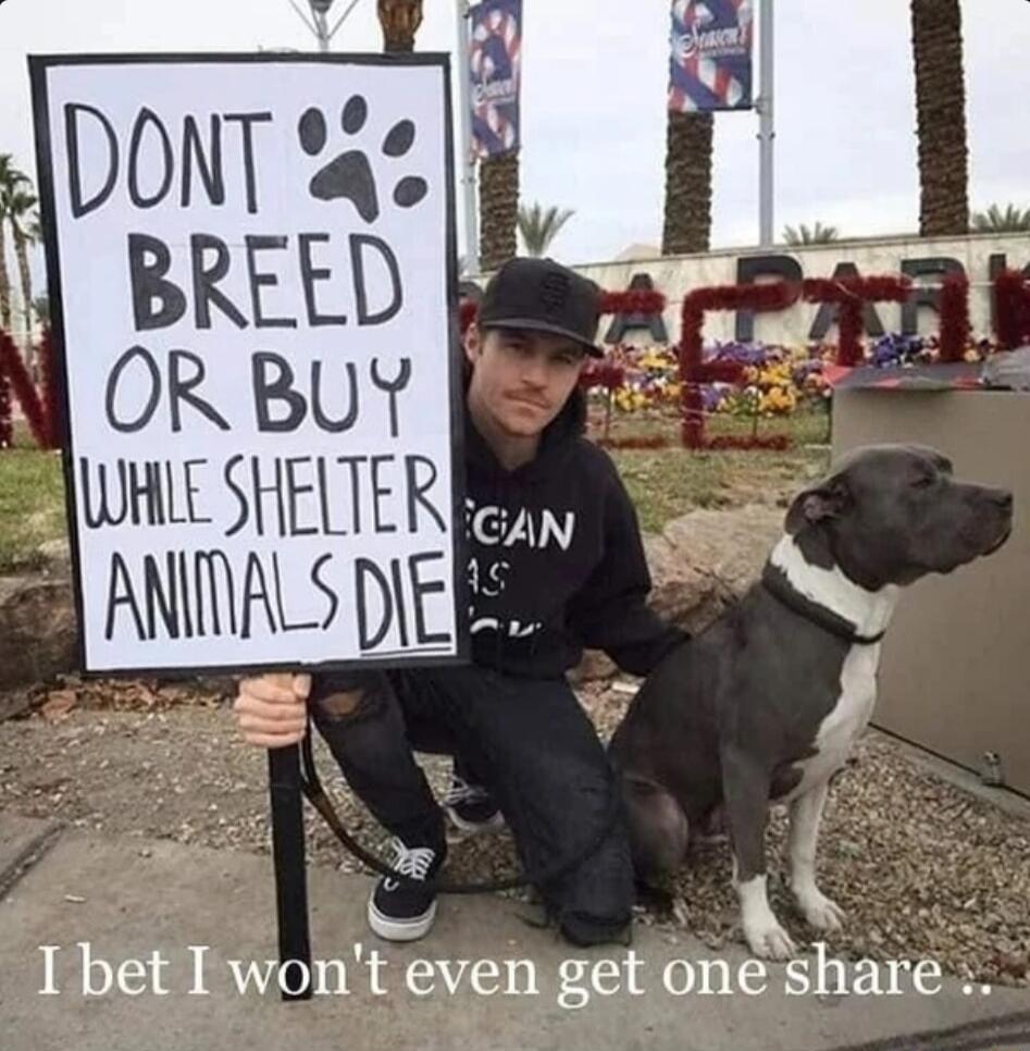 5 Z k y Ibet I wont even get one share
