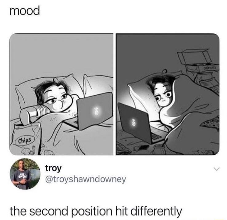 mood
[two-panel comic of a person in bed with a laptop and chips, first panel daylight, second panel darkened]
troy
@troyshawndowney
the second position hit differently