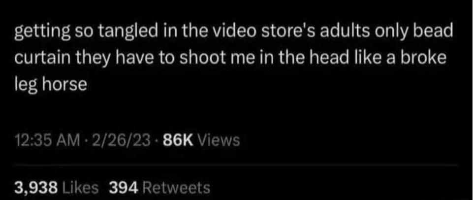 getting so tangled in the video stores adults only bead curtain they have to shoot me in the head like a broke leg horse 1235 AM 22623 86K Views 3938 Likes 394 Retweets