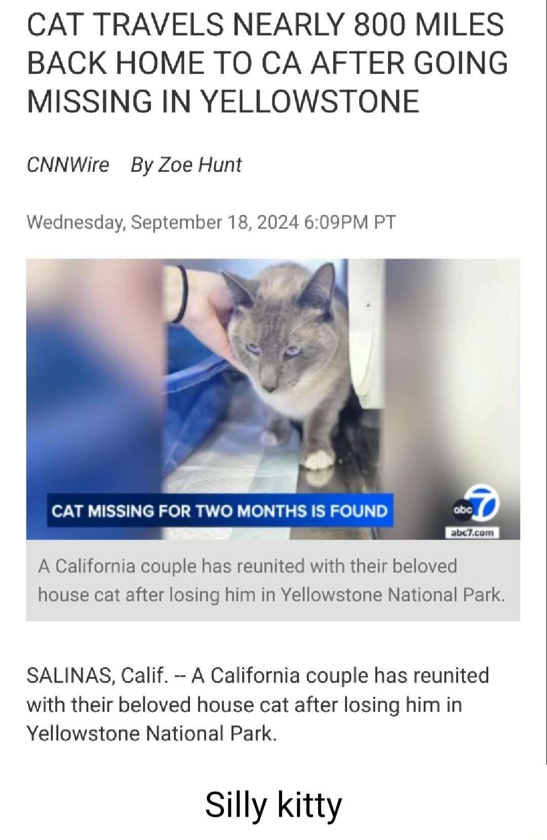 CAT TRAVELS NEARLY 800 MILES BACK HOME TO CA AFTER GOING MISSING IN YELLOWSTONE CNNWire By Zoe Hunt Wednesday September 18 2024 609PM PT A California couple has reunited with their beloved house cat after losing him in Yellowstone National Park SALINAS Calif A California couple has reunited with their beloved house cat after losing him in Yellowstone National Park Silly kitty