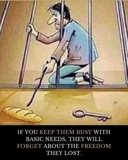 IF YOU KEEP THEM BUSY WITH BASIC NEEDS THEY WILL FORGET ABOUT THE FREEDOM THEY LOST