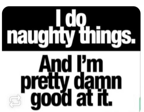 I do naughty things. And I'm pretty damn good at it.
