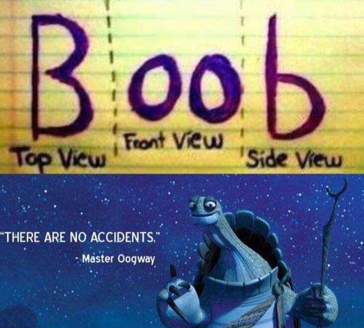 Boob Top View Front View Side View THERE ARE NO ACCIDENTS. - Master Oogway