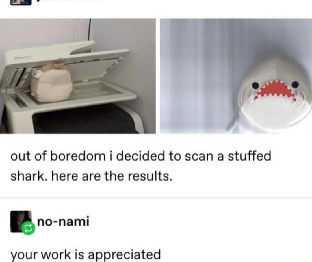 out of boredom i decided to scan a stuffed shark here are the results no naml your work is appreciated