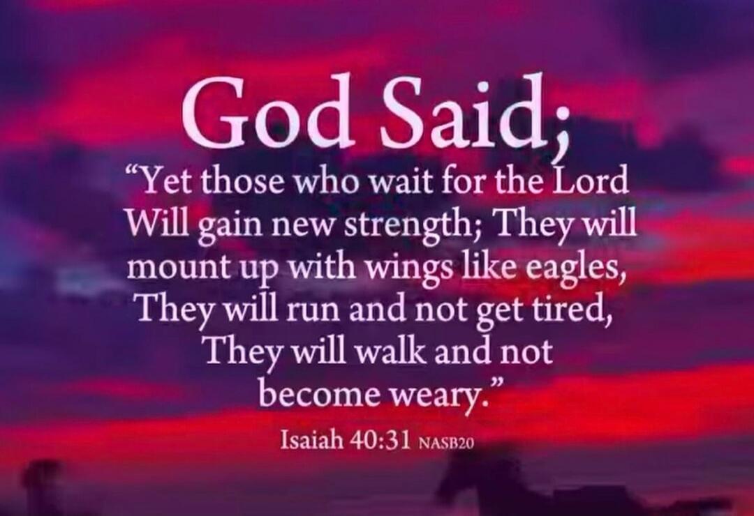 God Said; 'Yet those who wait for the Lord Will gain new strength; They will mount up with wings like eagles, They will run and not get tired, They will walk and not become weary.' Isaiah 40:31 NASB20
