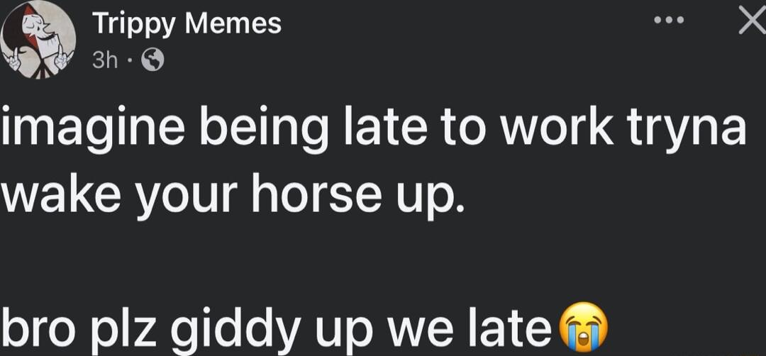 Trlppy Memes 2 imagine being late to work tryna wake your horse up bro plz giddy up we late