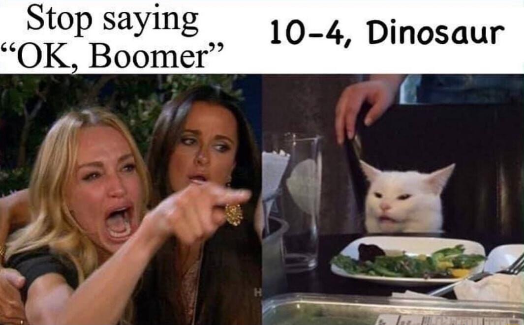 Stop saying _4 Di OK Boomer 10 4 Dino