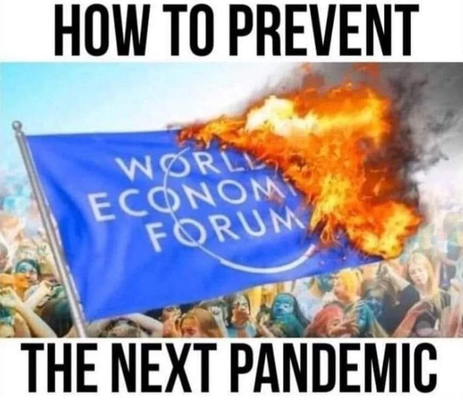 HOW TO PREVENT THE NEXT PANDEMIC. A flag of the World Economic Forum is burning.