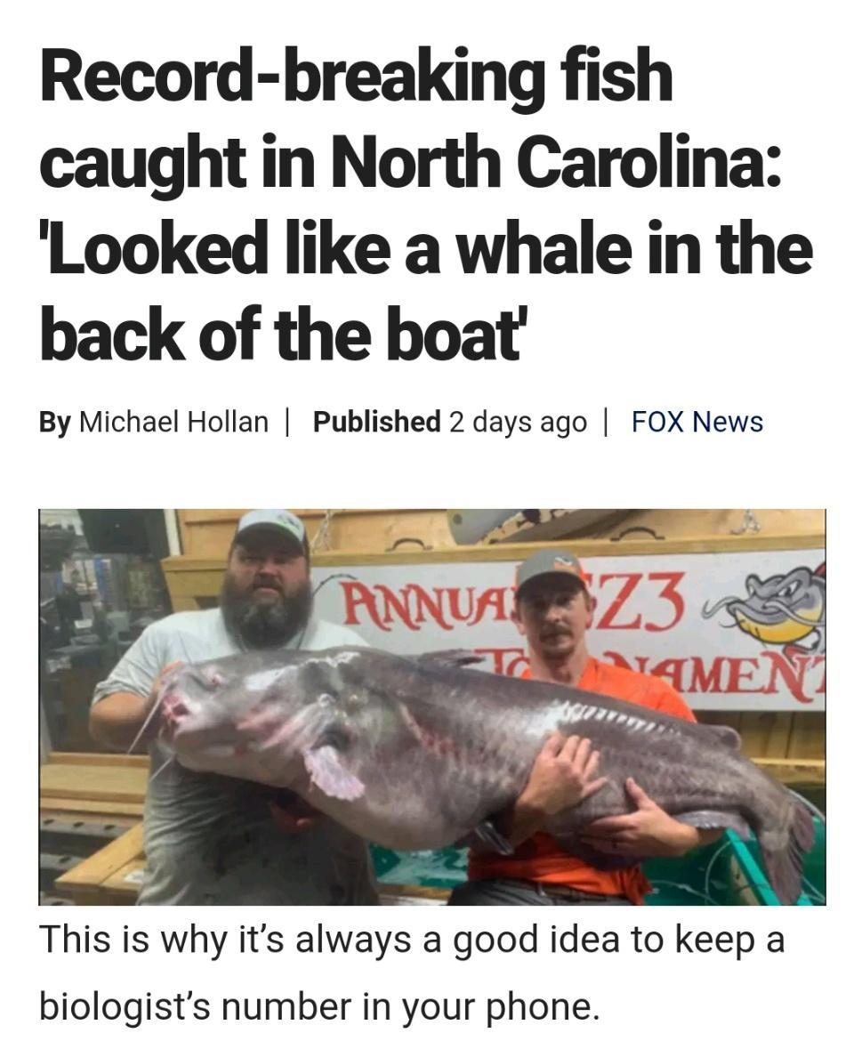 Record breaking fish caught in North Carolina Looked like a whale in the back of the boat By Michael Hollan Published 2 days ago FOX News This is why its alwaysla good idea to keep a biologists number in your phone