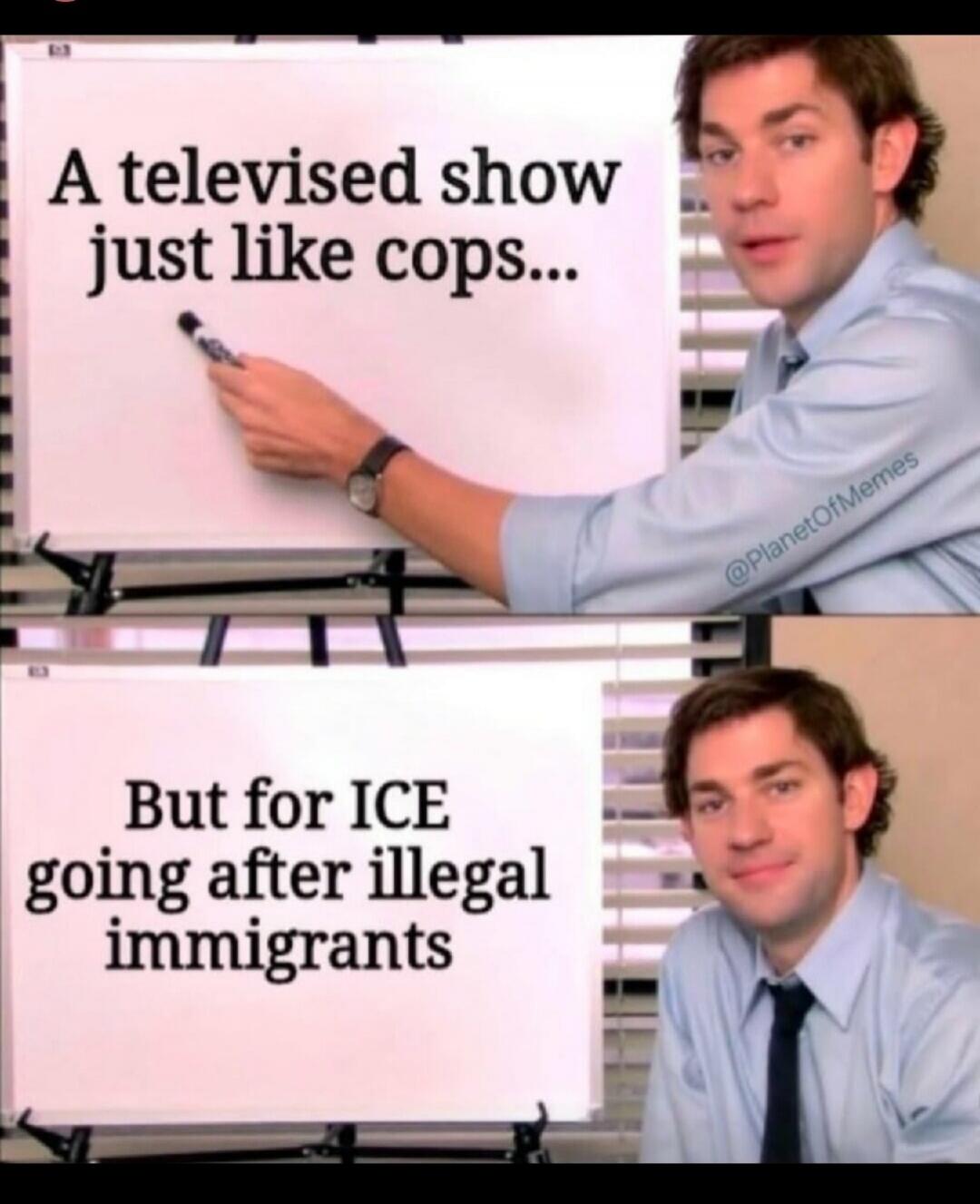 A televised show just like cops... But for ICE going after illegal immigrants