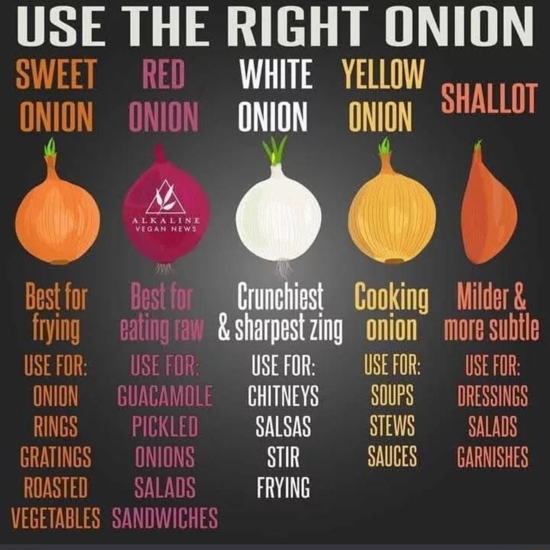 USE THE RIGHT ONION SWEET RED WHITE YELOW o oo ONION ONION ONION ONION bl Bt Cuneiest Cooking Wider frying eating raw sharpestzing onion more subtle USEFOR USEFOR USEFOR USEFOR USEFOR ONION GUACAMOLE CHITNEYS SOUPS DRESSINGS RINGS PICKLED SALSAS STEWS SALADS GRATINGS ONIONS STIR SAUCES GARNISHES ROASTED SALADS FRYING VEGETABLES SANDWICHES