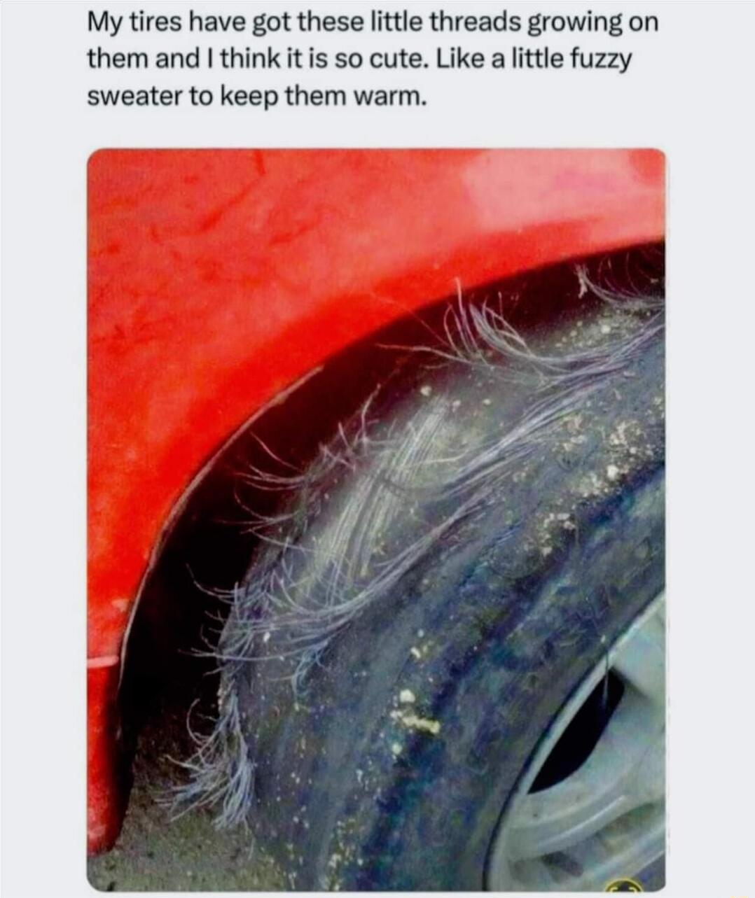 My tires have got these little threads growing on them and think it is so cute Like a little fuzzy sweater to keep them warm