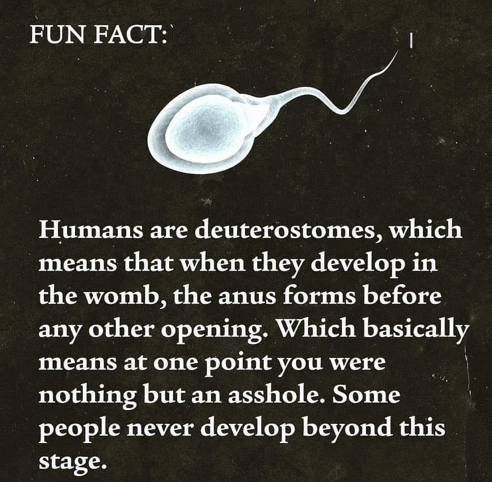 FUN FACT Humans are deuterostomes which means that when they develop in the womb the anus forms before any other opening Which ba81cally means at one point you were nothing but an asshole Some people never develop beyond this stage