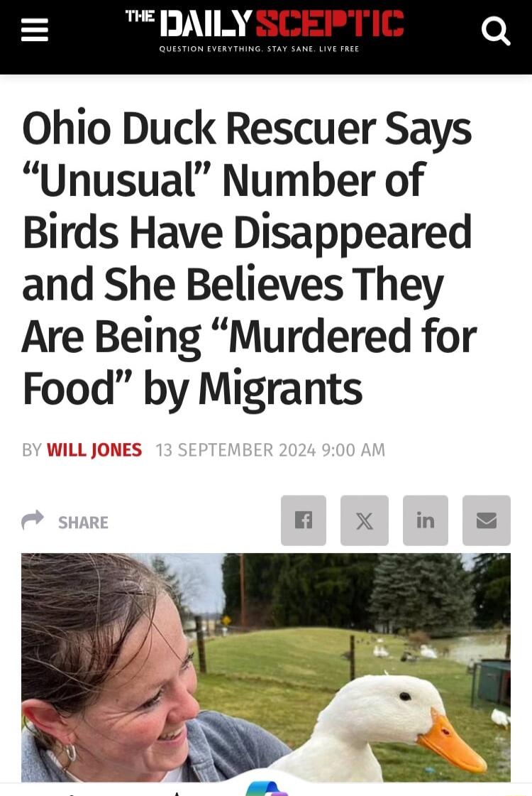 TERAILY SR Ohio Duck Rescuer Says Unusual Number of Birds Have Disappeared and She Believes They Are Being Murdered for Food by Migrants WILL JONES