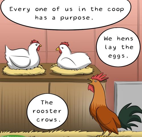 Every one of us in the coop has a purpose The rooster crows