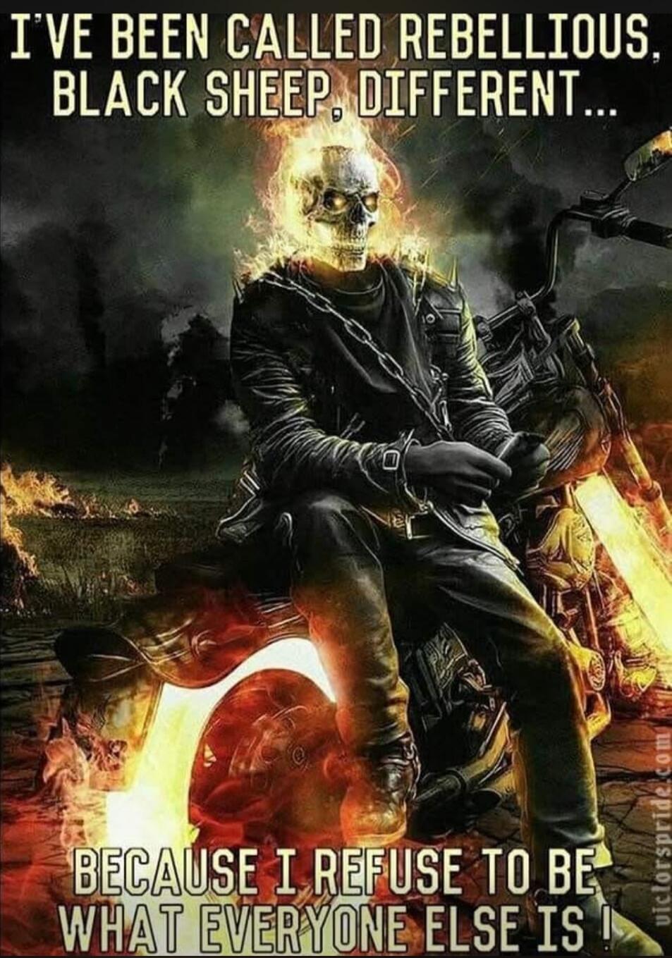 I'VE BEEN CALLED REBELLIOUS, BLACK SHEEP, DIFFERENT... BECAUSE I REFUSE TO BE WHAT EVERYONE ELSE IS!