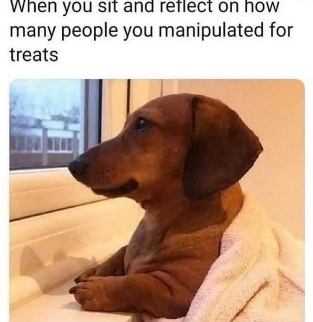 When you sit and reflect on how many people you manipulated for treats