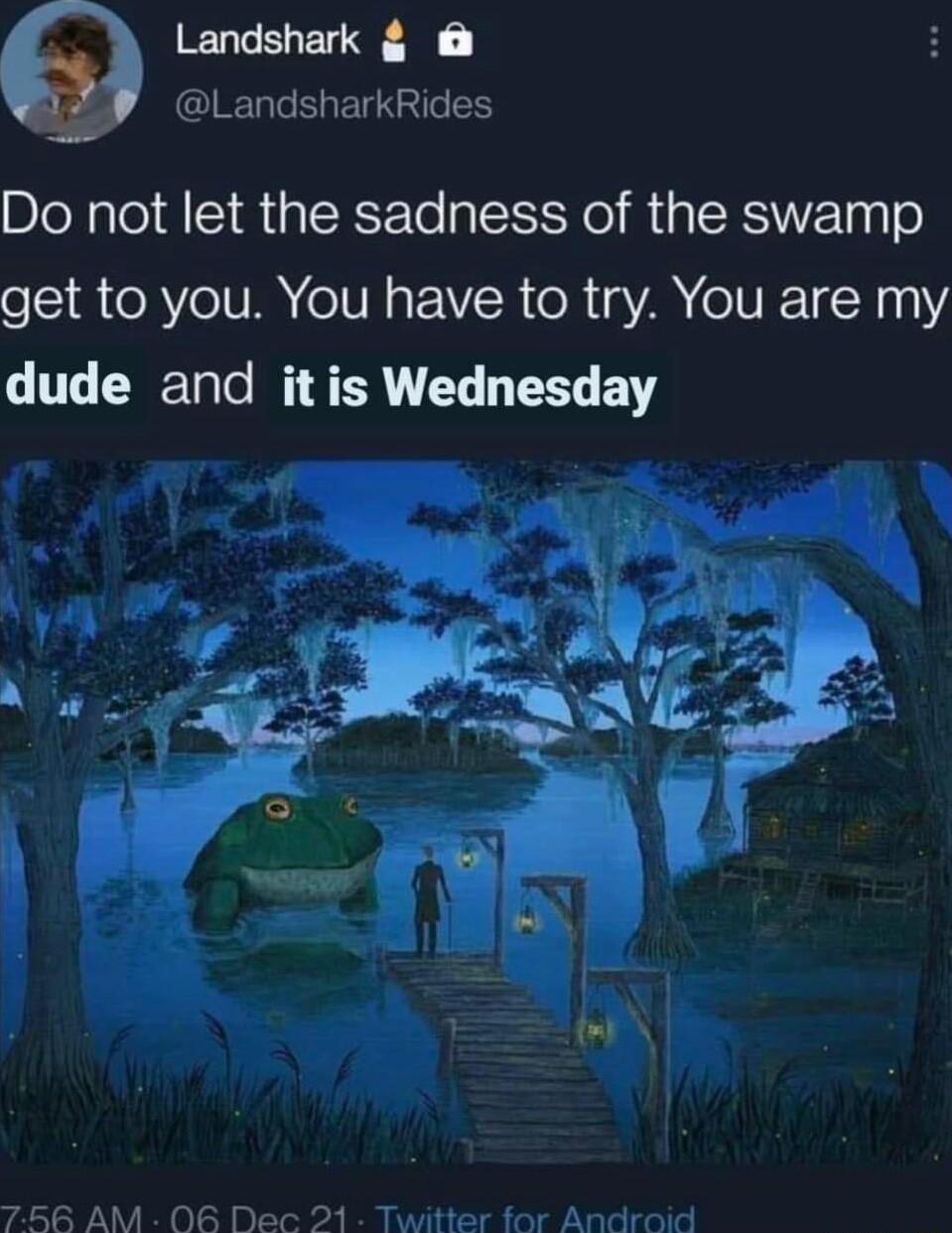 Landshark LandsharkRides Do not let the sadness of the swamp get to you You have to try You are my dude and it is Wednesday A AM 06 Dec 21 Twitter for Android