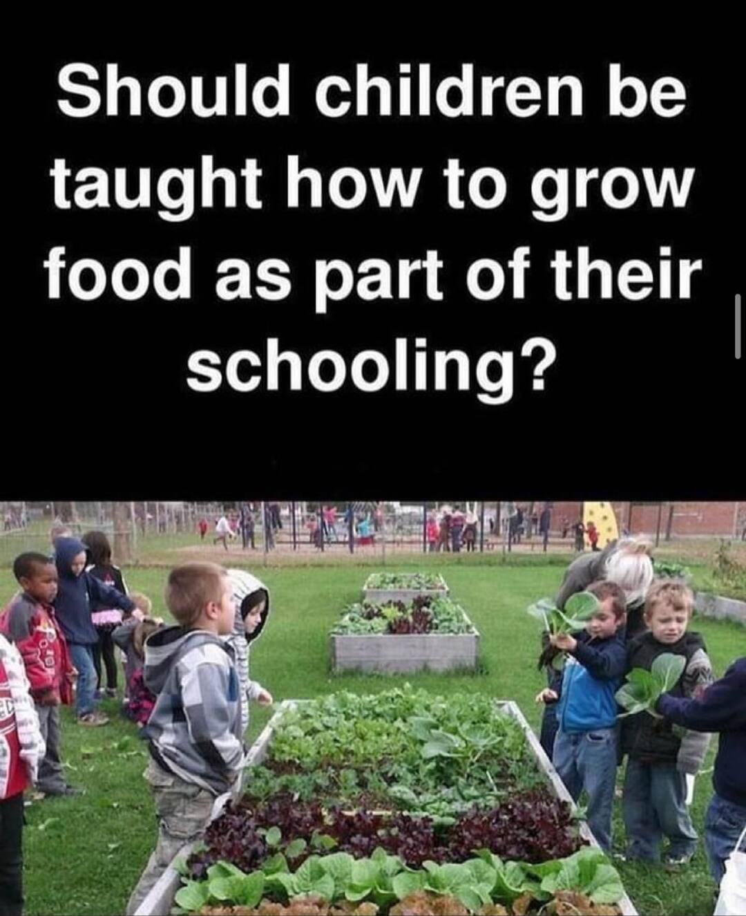 Should children be taught how to grow oJoJe Lo F Ta Qo B 4 114 STed LYol 10T Wy e lm B T