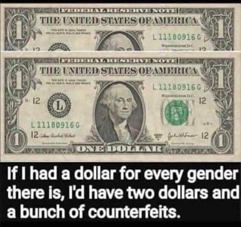 owal AMERICA 414 Ng Ji ey ST 2 A 24 ST N SO LA O If 1 had a dollar for every gender there is Id have two dollars and a bunch of counterfeits