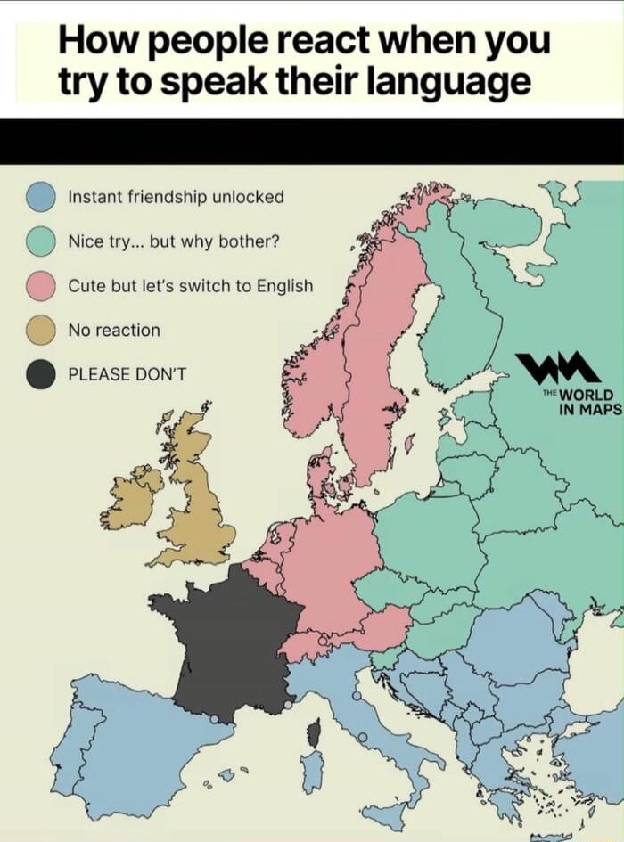 How people react when you try to speak their language\n\n- Instant friendship unlocked\n- Nice try... but why bother?\n- Cute but let's switch to English\n- No reaction\n- PLEASE DON'T