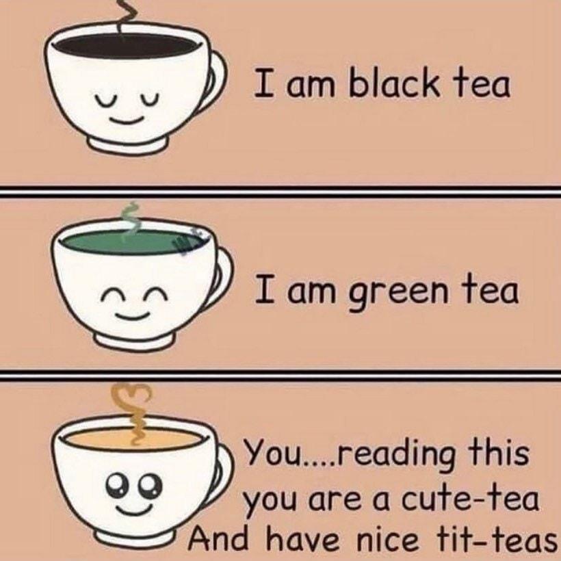 I am black tea I am green tea Youreading this you are a cute tea 7 And have nice tit teas