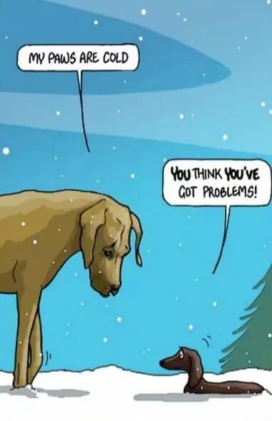 MY PAWS ARE COLD
YOU THINK YOU'VE GOT PROBLEMS!