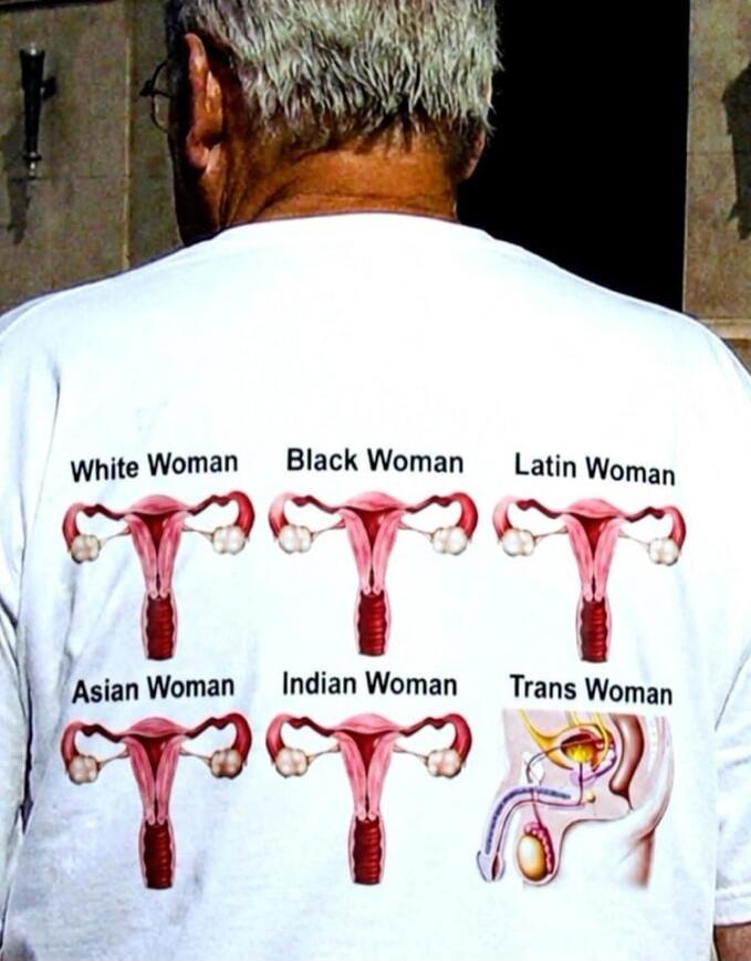 White Woman Black Woman Latin Woman Asian Woman Indian Woman Trans Woman. The image displays diagrams of female reproductive organs (uterus, ovaries, fallopian tubes) for the first five categories and a diagram of male reproductive organs (penis, testicles, prostate, urethra) for 'Trans Woman'.