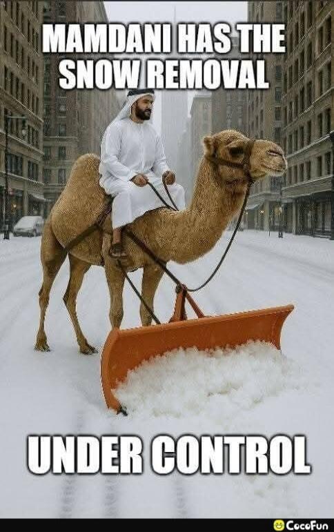 MAMDANI HAS THE SNOW REMOVAL UNDER CONTROL