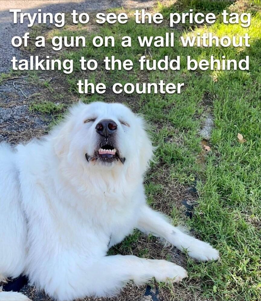 g orseeth prlce tag agun on a wall wWithout ing to the fudd behind the counter