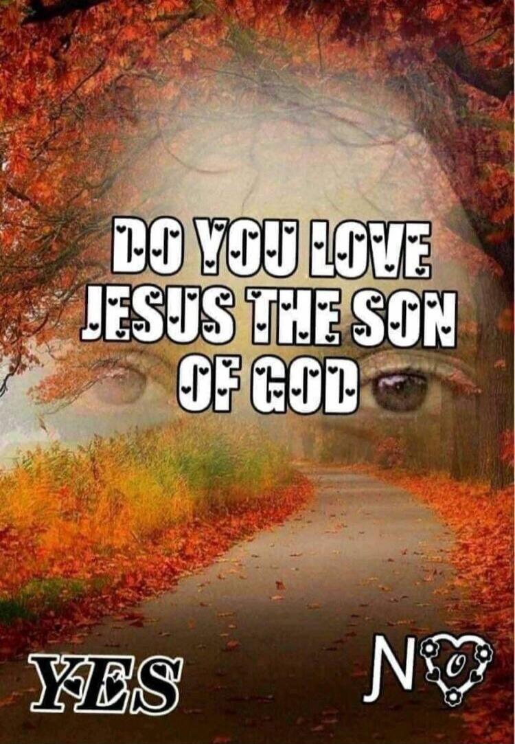 DO YOU LOVE JESUS THE SON OF GOD
YES  NO