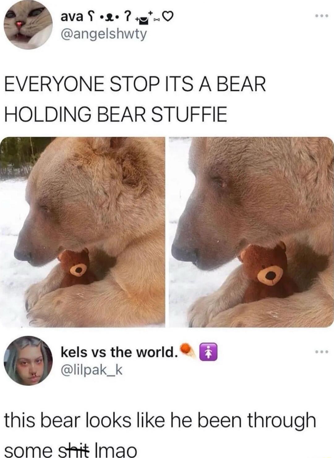 EVERYONE STOP ITS A BEAR HOLDING BEAR STUFFIE this bear looks like he been through some shit lmao