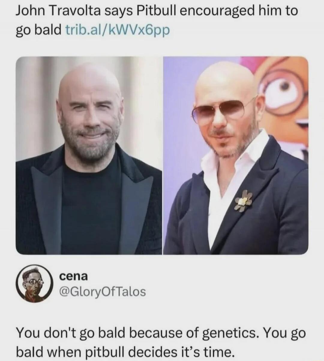 John Travolta says Pitbull encouraged him to go bald trib.al/kWVVx6pp cena @GloryOfTalos You don't go bald because of genetics. You go bald when pitbull decides it's time.