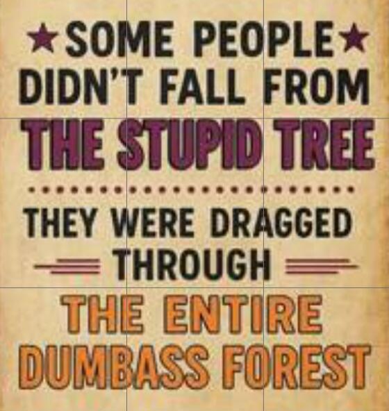 SOME PEOPLE DIDN'T FALL FROM THE STUPID TREE THEY WERE DRAGGED THROUGH THE ENTIRE DUMBASS FOREST