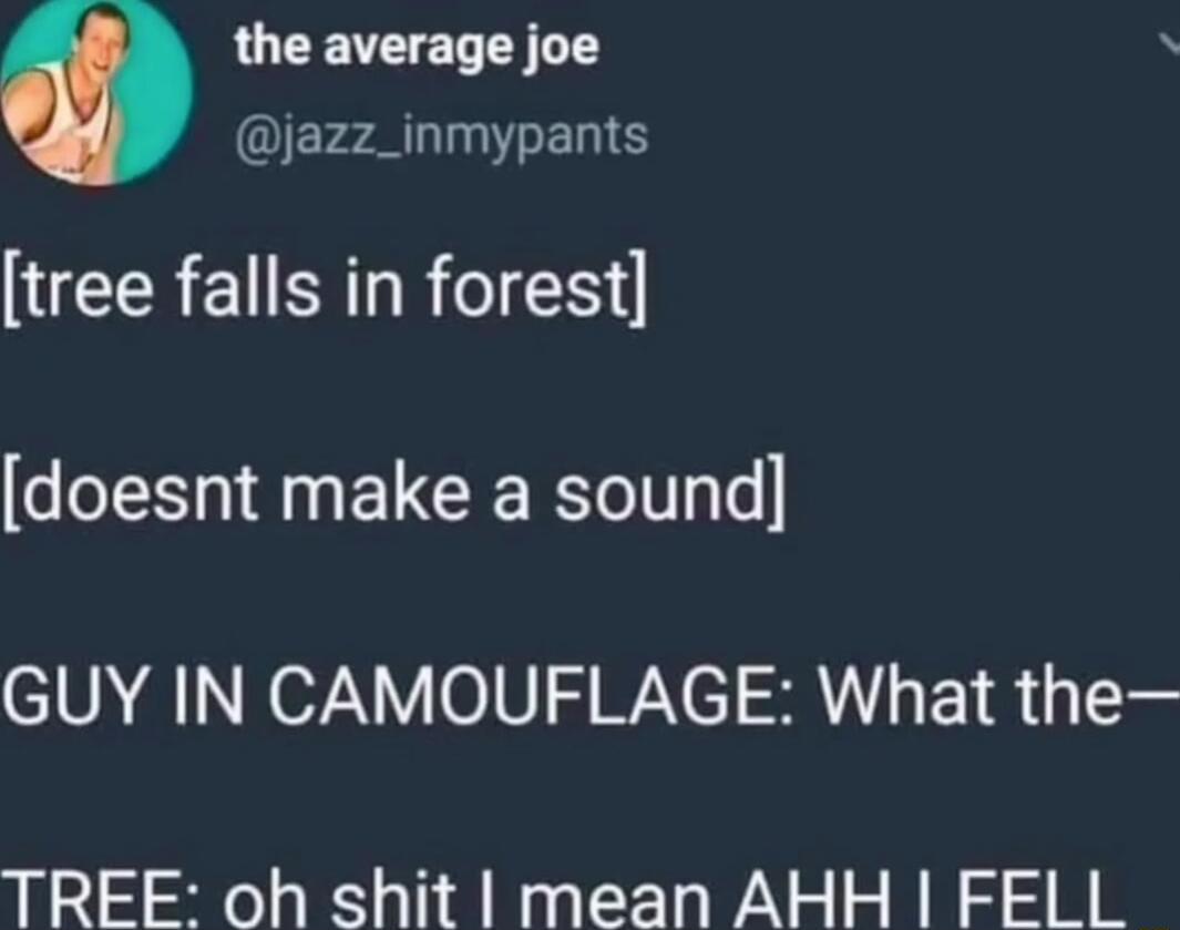 the average joe A QIErzALLGTERS tree falls in forest doesnt make a sound GUY IN CAMOUFLAGE What the TREE oh shit mean AHH FELL